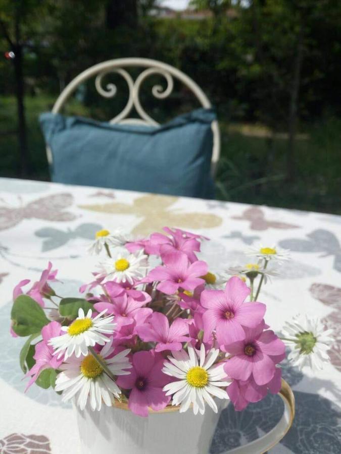 B&B Delle Arti เครมา ภายนอก รูปภาพ